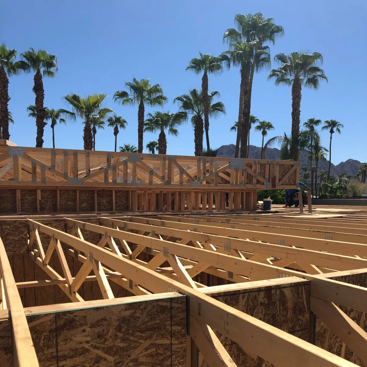 Wood roof trusses and framed walls of a building under construction, with palm trees and mountains behind